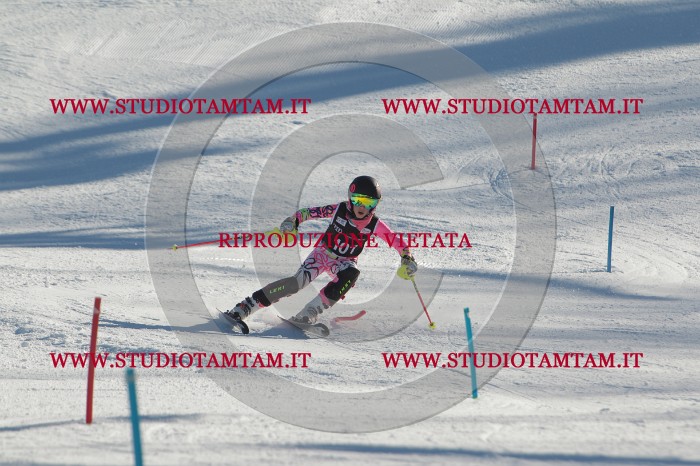 MAT_4336.JPG