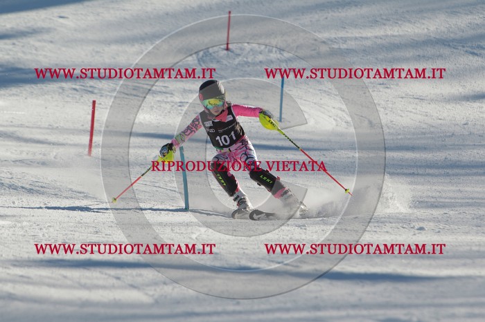 MAT_4337.JPG