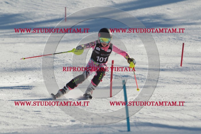 MAT_4338.JPG