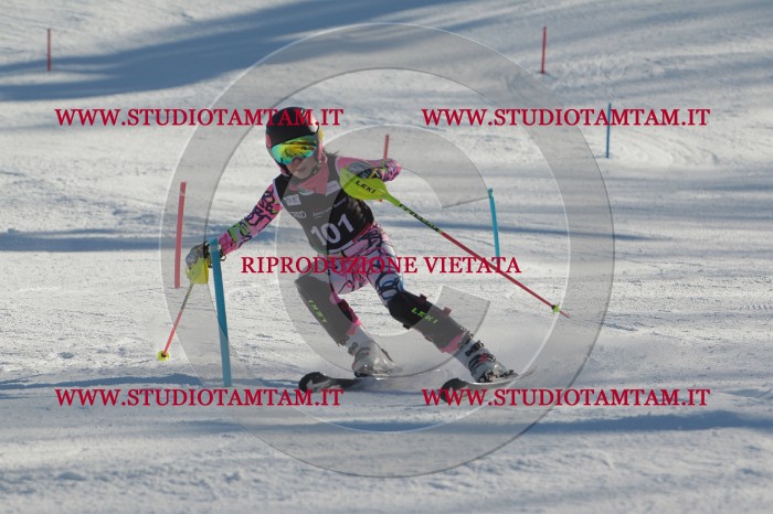 MAT_4340.JPG