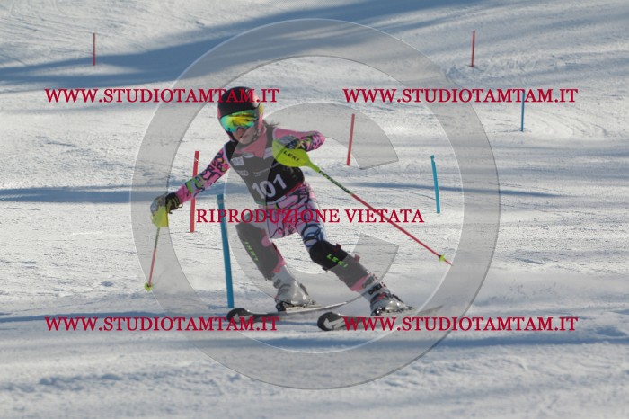 MAT_4341.JPG