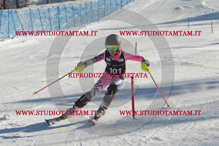 MAT_4342.JPG