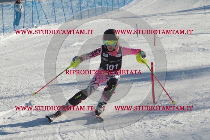 MAT_4343.JPG