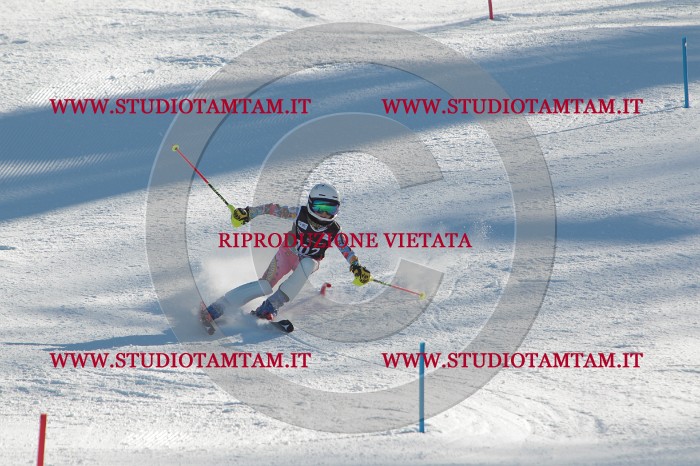 MAT_4345.JPG