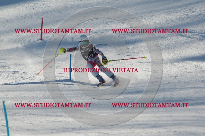 MAT_4346.JPG