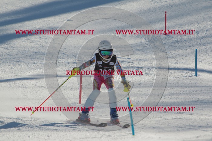 MAT_4348.JPG