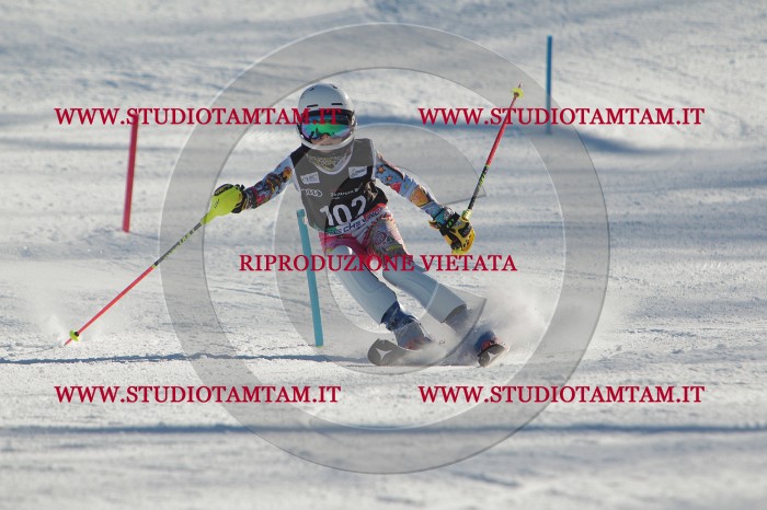 MAT_4349.JPG