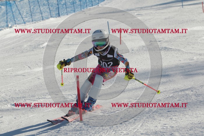 MAT_4354.JPG