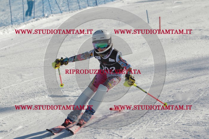 MAT_4355.JPG