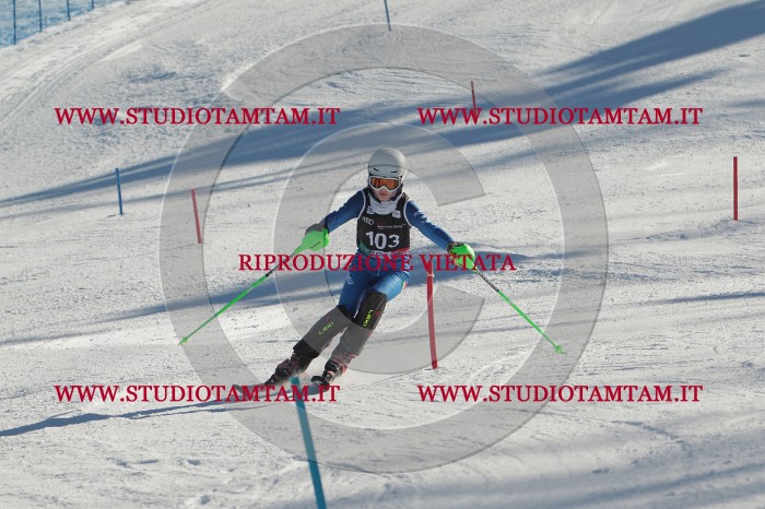 MAT_4360.JPG