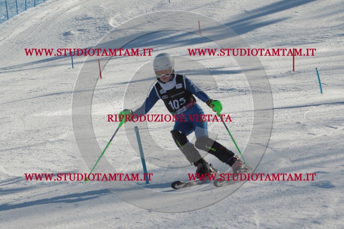 MAT_4361.JPG