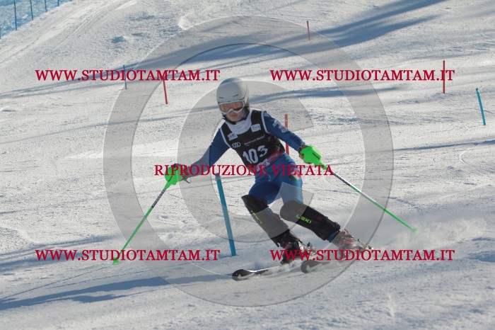 MAT_4362.JPG