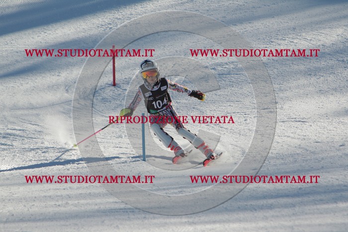 MAT_4367.JPG