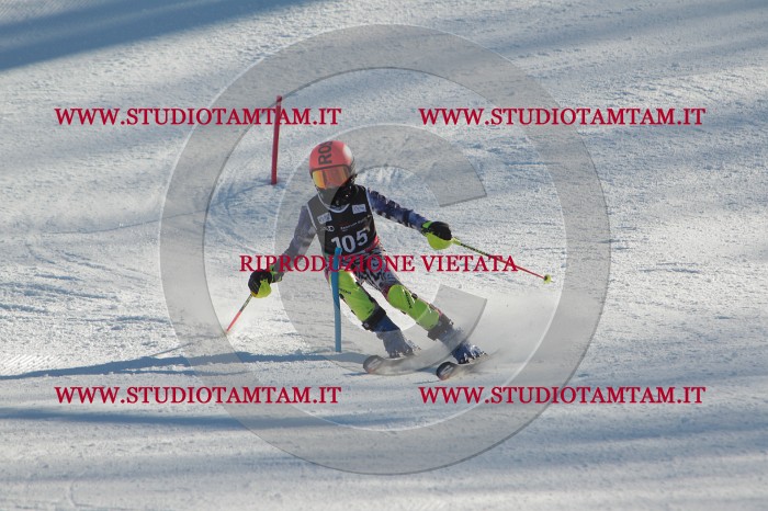 MAT_4377.JPG