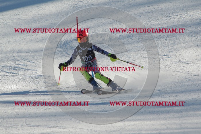 MAT_4378.JPG
