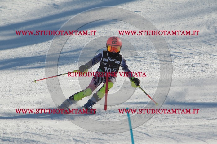 MAT_4379.JPG
