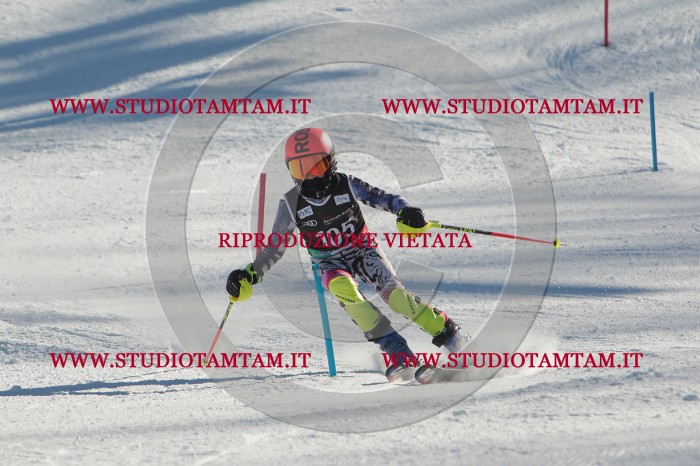 MAT_4381.JPG