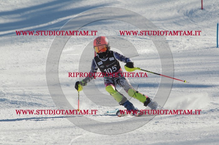 MAT_4382.JPG