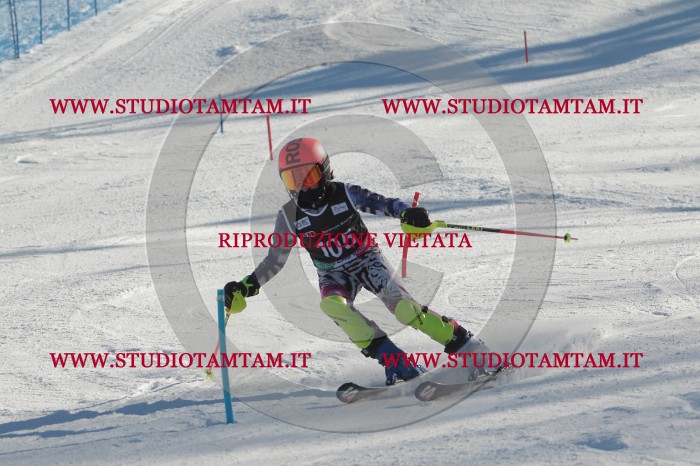 MAT_4385.JPG