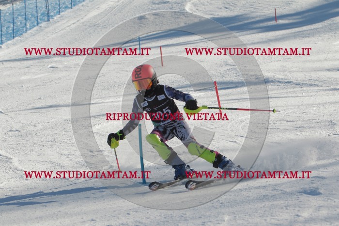 MAT_4386.JPG