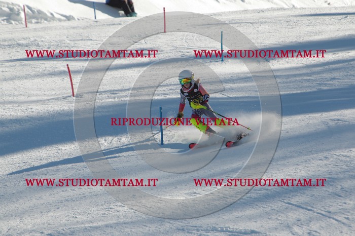 MAT_4391.JPG