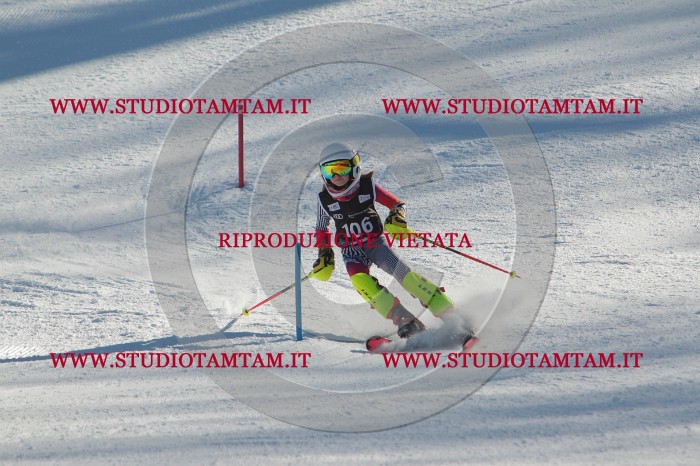 MAT_4393.JPG