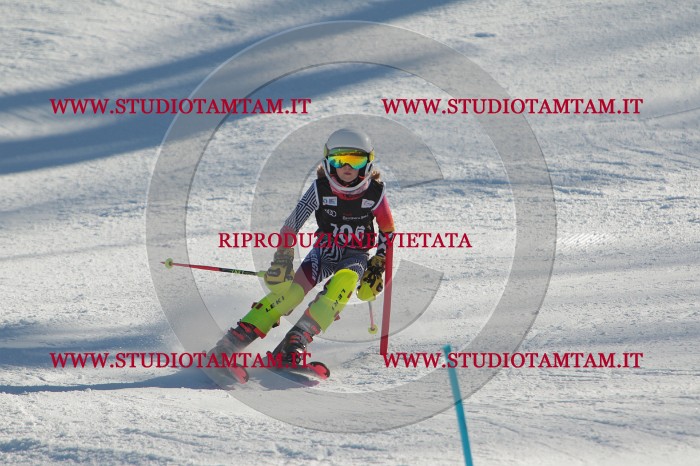 MAT_4395.JPG