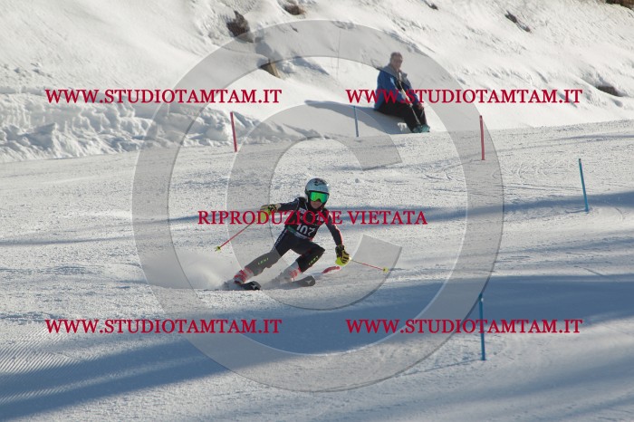 MAT_4403.JPG