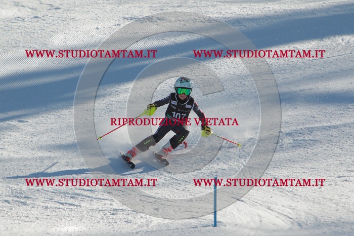 MAT_4405.JPG