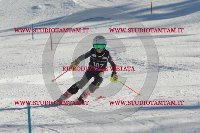 MAT_4411.JPG