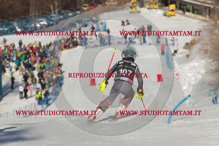 MAT_4414.JPG