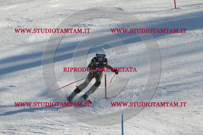 MAT_4417.JPG