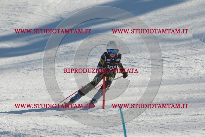 MAT_4420.JPG