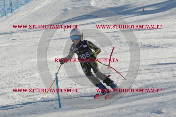 MAT_4423.JPG