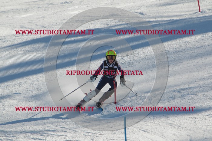 MAT_4428.JPG