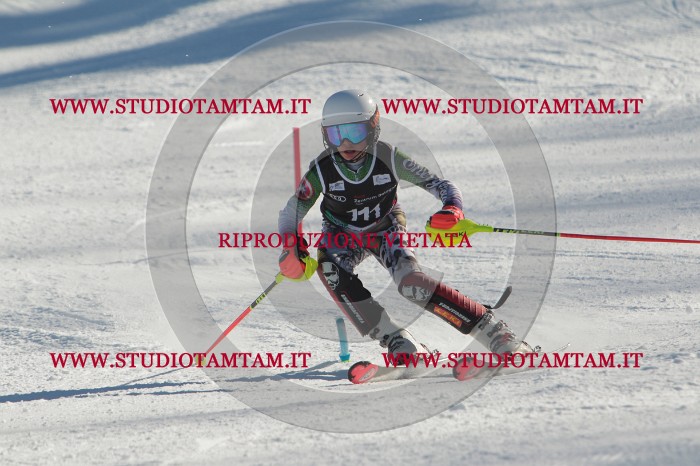 MAT_4456.JPG