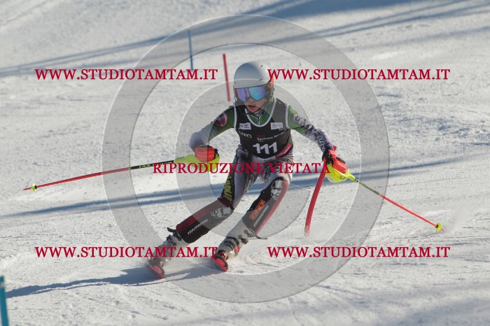 MAT_4458.JPG