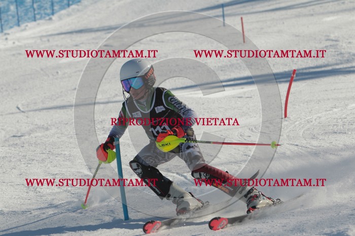 MAT_4459.JPG