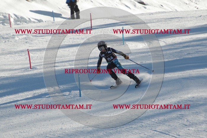 MAT_4487.JPG