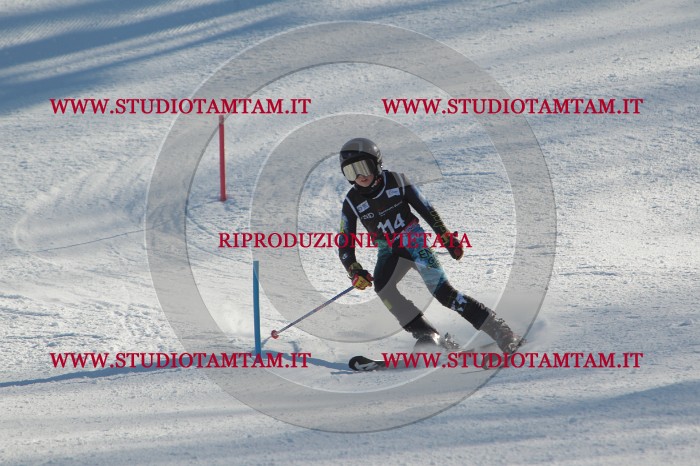 MAT_4491.JPG