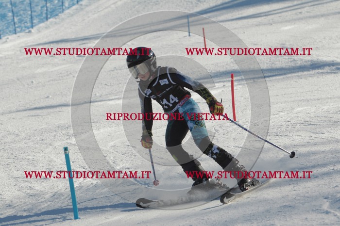 MAT_4497.JPG