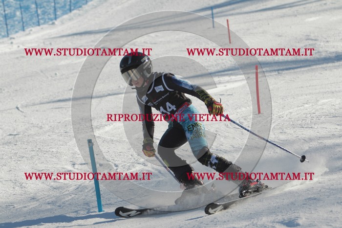 MAT_4498.JPG
