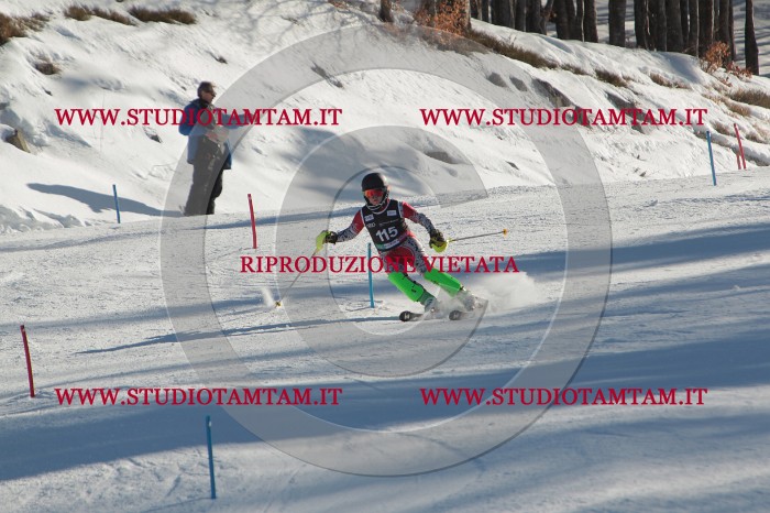 MAT_4501.JPG