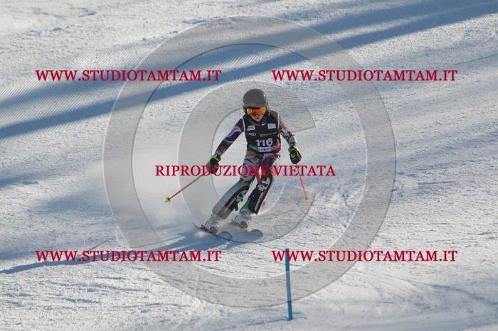 MAT_4516.JPG