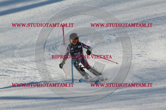 MAT_4517.JPG