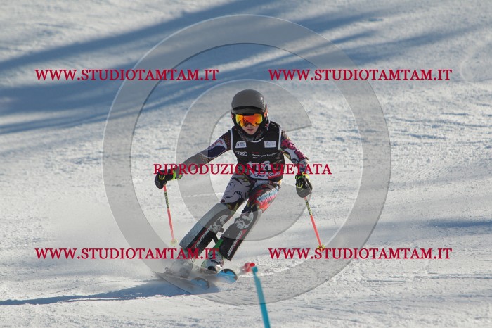 MAT_4519.JPG