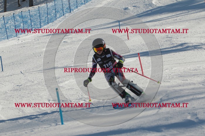 MAT_4523.JPG