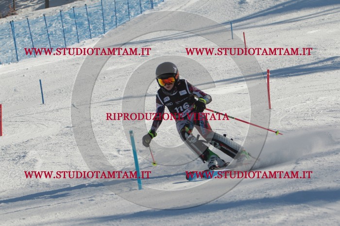 MAT_4524.JPG