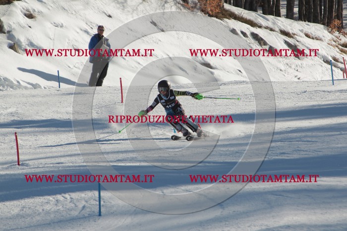MAT_4528.JPG