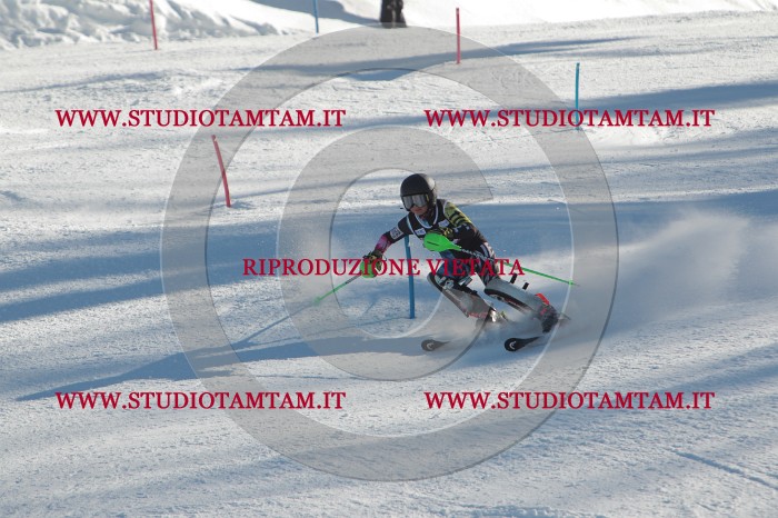 MAT_4530.JPG
